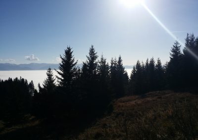 20141102_130437