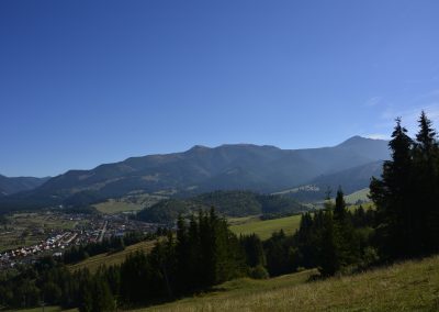 _DSC0766