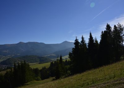 _DSC0771