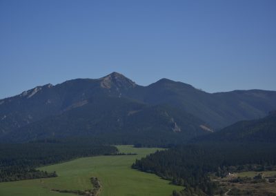 _DSC0779