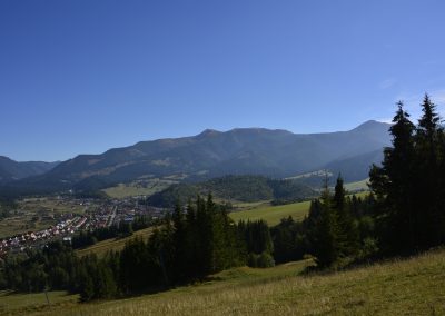 _DSC0789