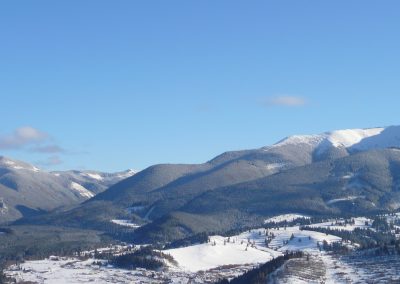 P1060110