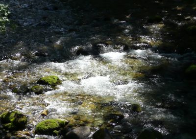 p1040161